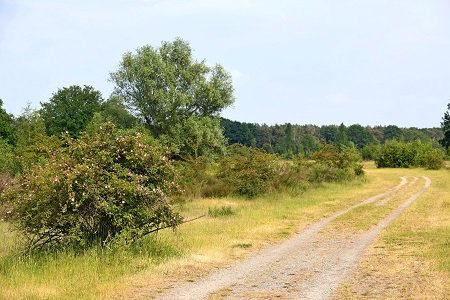 Groote Heide